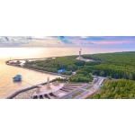 Vận Chuyển từ Năm Căn