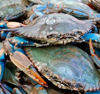 Vận tải đường hàng không