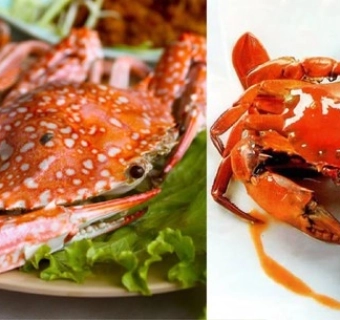Cua và ghẹ khác nhau như thế nào? Nên ăn cua hay ghẹ?