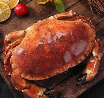 Cua nâu Ireland - Món quà hấp dẫn của mọi gia đình