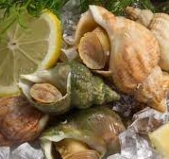 Khám phá ẩm thực Ireland - Cua Nâu và Ốc Bulot